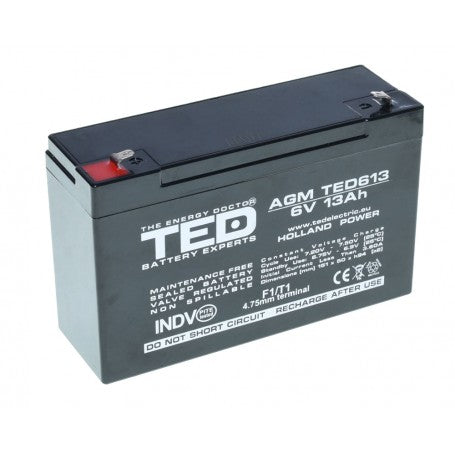 Acumulator Plumb-Acid 6V-13A TED
