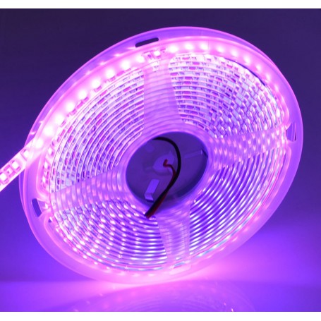 Banda 600 Led-uri Roz Exterior 5m