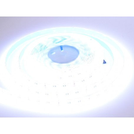 Banda Led RGBW, 300 LED-uri, 5m, IP65