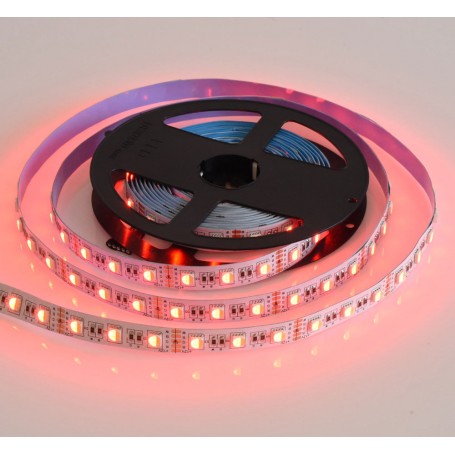 Banda Led RGBW 300 Led-uri 8W/m Interior