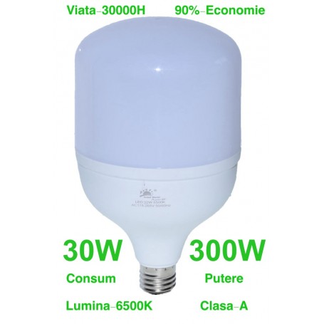 Bec Led, Dulie E27, 30W, Alb-Rece