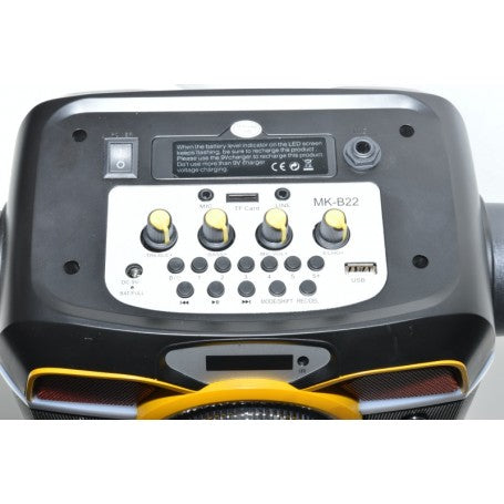 Boxa cu Bluetooth, Radio FM, USB si Card TF