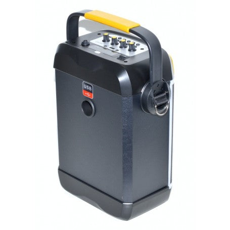 Boxa cu Bluetooth, Radio FM, USB si Card TF