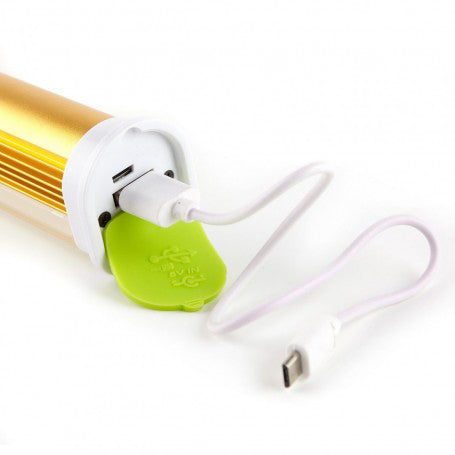 Lanterna cu Acumulator Led Alb-Rosu 2 Comutatoare