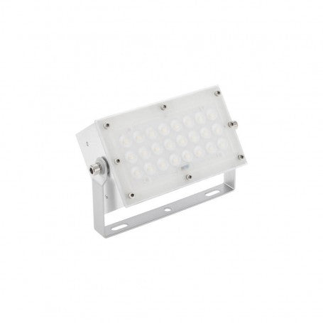 Proiector Profesional LED 50W-4200Lm