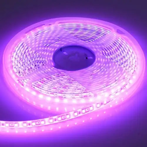 Banda LED 12V, Lumina Roz, 120 LED/m, IP20, Rola 5 Metri, ClassLights