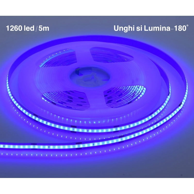 Banda 1260 Led-uri COB, 60W, Albastru