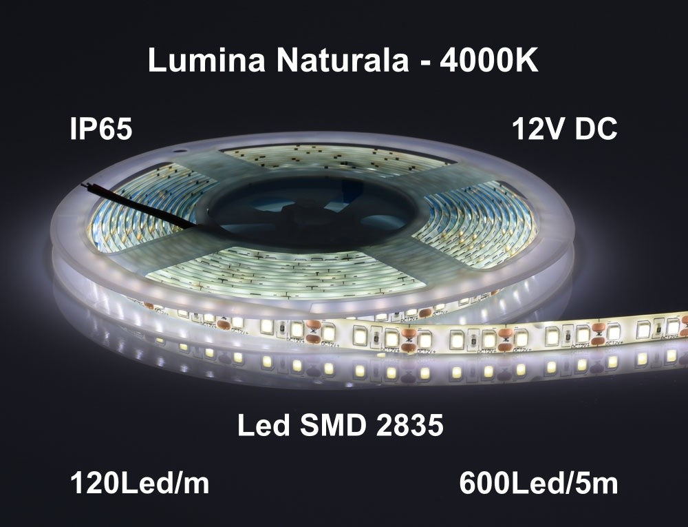 Banda Led 12V Exterior IP65- 120led/m, Alb-Natural 4000K, Rola/5m