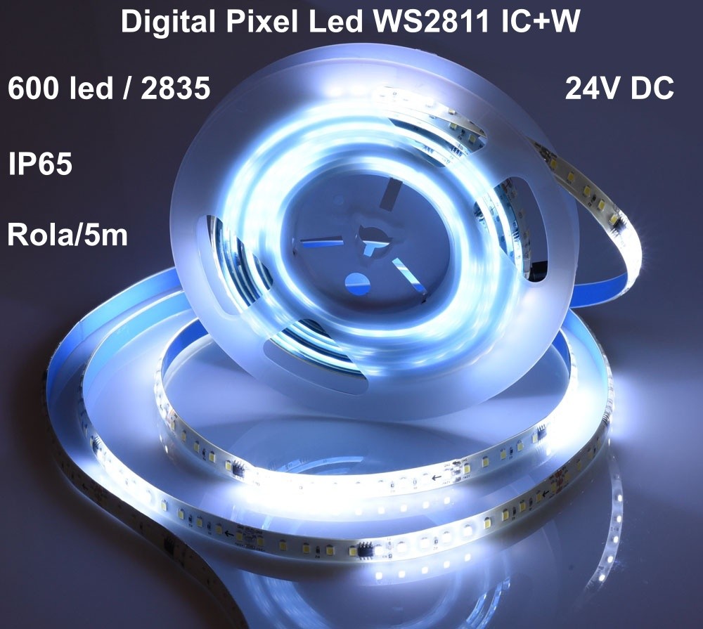 Banda Led 24V Alb-Rece, Digital WS2811 IC+W, 120led/m - IP65