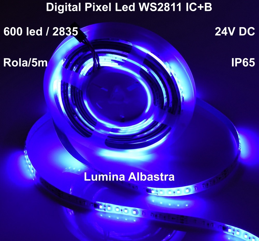 Banda Led 24V Albastru, Digital WS2811 IC+B, 120led/m - IP65