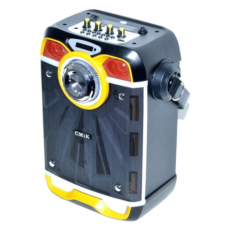 Boxa cu Bluetooth, Radio FM, USB si Card TF