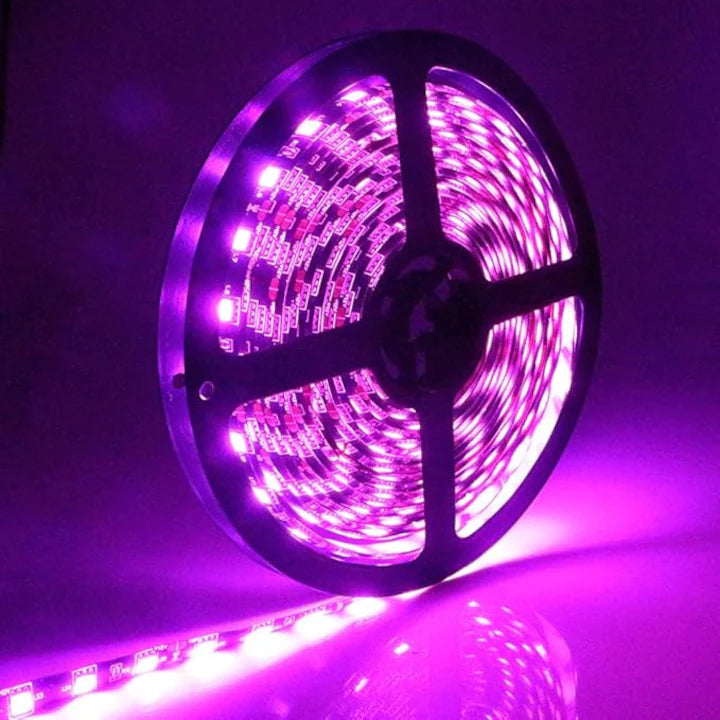Banda LED 12V, Lumina Violet, 120 LED/m, IP20, Rola 5 Metri, ClassLights