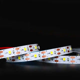 Banda LED 12V, Exterior IP65, 60 LED/m SMD2835, Alb-Rece, Rola 5 metri, ElectroAZ