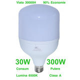 Bec Led, Dulie E27, 30W, Alb-Rece