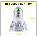 Bec cu LED, E27, Putere 3W, 220V