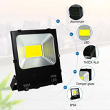 Proiector Led COB 220V, IP66 Putere 100W