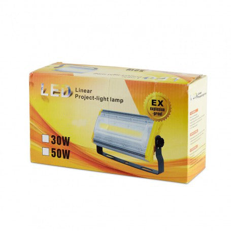 Proiector 30W LED Cob Antiex 220V