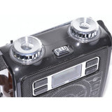 Radio FM Portabil, USB si Card SD, VXR
