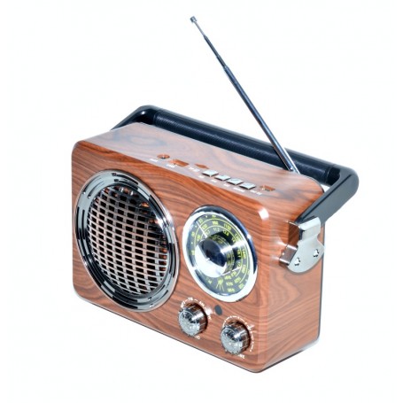 Radio Portabil, USB si Card TF, MK-612