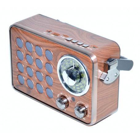 Radio Portabil, USB si Card TF, MK-613