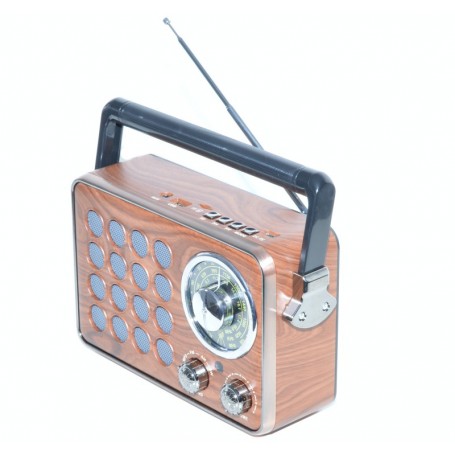 Radio Portabil, USB si Card TF, MK-613