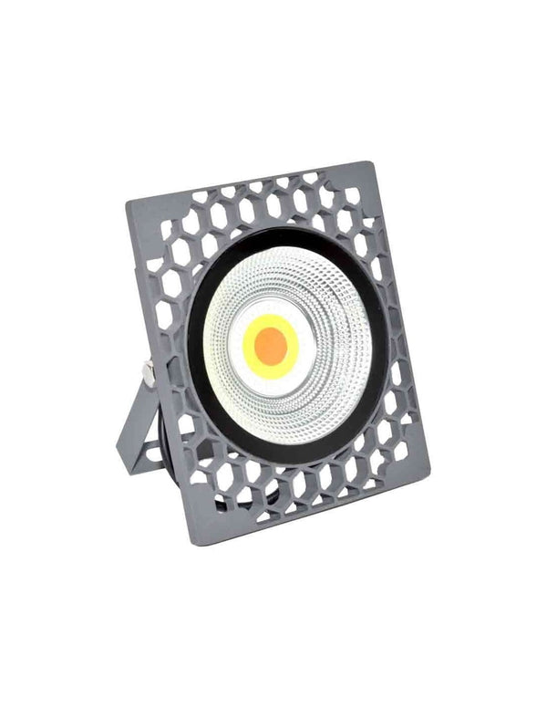 Proiector Multicolor LED RGB 50W-220V