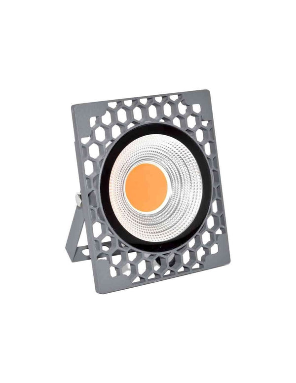 Proiector LED COB Rosu 50W-220V