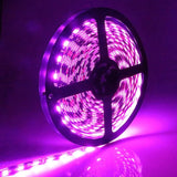 Banda LED 12V, Lumina Violet, 120 LED/m, IP20, Rola 5 Metri, ClassLights